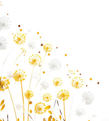 PNG Dandelion flower backgrounds pattern.