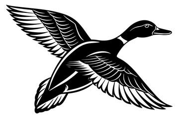 Flying mallard duck vector art illustration 