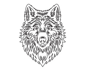 lion line art design 