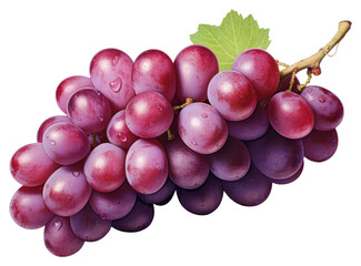 Fototapeta premium PNG Grapes fruit plant food.