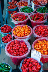 Fiery-coloured habanero peppers neatly packed in baskets at a busy Ontario farmer's market, adding a pop of vibrant color.