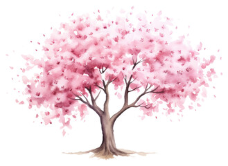 Obraz premium PNG Blossom flower plant springtime.