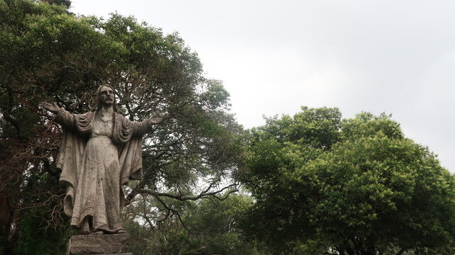 PANTE&Oacute;N DOLORES 