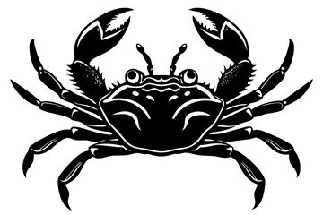 Galapagos   ghost crabs vector art illustration
