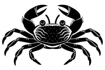 Galapagos   ghost crabs vector art illustration