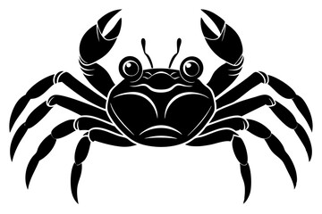 Galapagos   ghost crabs vector art illustration © Jhanto
