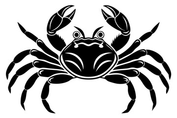 Galapagos   ghost crabs vector art illustration