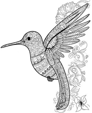 recommend clip art: Intricate Mandala Hummingbird Line Art with Floral Patterns