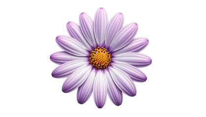 Obraz premium Beautiful Purple Flower with Transparent Background for Design Use - High-Quality Isolated PNG Image