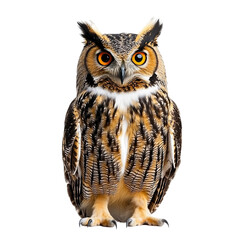 Fototapeta premium Wildlife Closeup of an Owl Bird in PNG Format, Isolated with a Transparent Background for Natural and Artistic Projects 