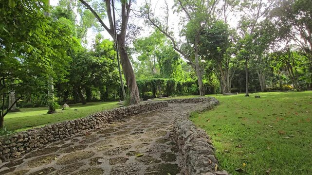 Path through a spring forest