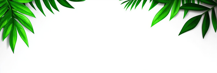 Obraz premium Tropical leaves frame a white background, creating a vibrant and summery border.