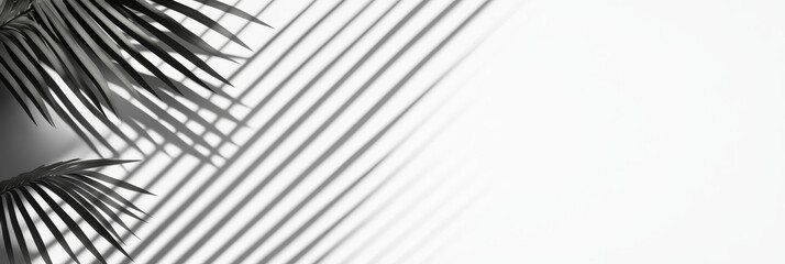 Palm leaves cast shadows on a white wall, creating a minimalist and modern design.
