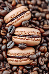 Macaroons Coffee Desserts and Pastries.Brown Macarons. Coffee macaroons.pastries with coffee aroma.French Delicious Pastries kit 
