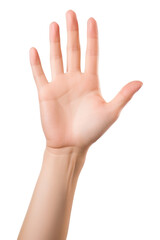 Fototapeta premium PNG Woman hand help finger gesturing touching.