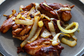 Grilled chicken with onion. Perfect for recipe, article, catalogue, or any commercial purposes.