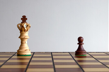 Life is a lot like chess: every move counts, every piece has purpose, and every game tells a story....