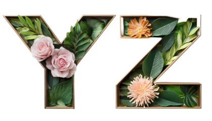 D Letters Y Z Floral and Leaves Alphabet Isolated on White   