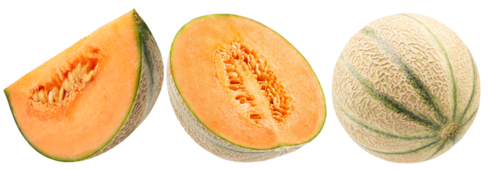 set of melons isolated on a white background