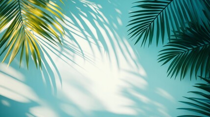 Palm Leaf Shadows and Light on a Turquoise Background