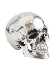 Shiny Metallic Skull Illustration with Transparent Background - Perfect for Edgy Design Projects and Halloween Overlays