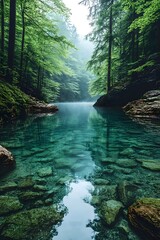 A serene forest lake with crystal clear water and a misty backdrop. The water is so clear that the rocks at the bottom are visible.