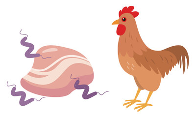 カンピロバクターと鶏肉のイラスト
