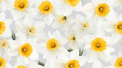 Fototapeta premium Vibrant yellow and white daffodil narcissus and other blooming spring flowers in a lush natural background Beautiful floral pattern with delicate petals and soft focus