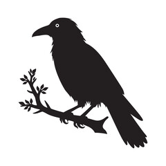 Crow silhouette vector