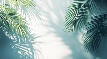 Palm Leaf Casts Shadows on a Light Blue Wall