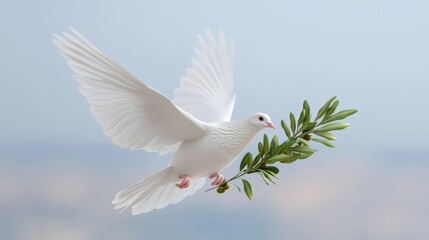 Obraz premium White Dove of Peace with Olive Branch Symbol of Hope and Harmony
