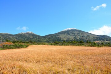 紅葉の毛無岱から眺める大岳山頂