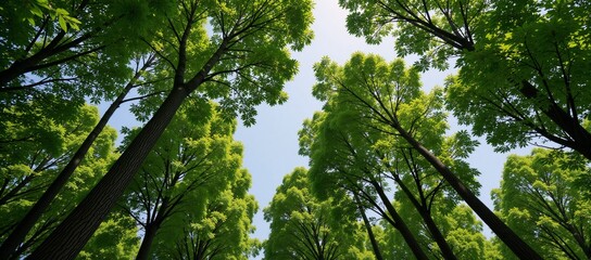 Fototapeta premium Trees as earths natural air filters planting more helps fight air pollution for improved health