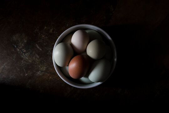 Fresh eggs