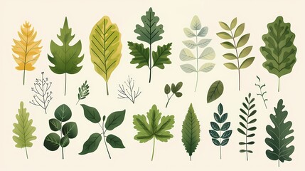 Watercolor Leaf Collection Poster Background