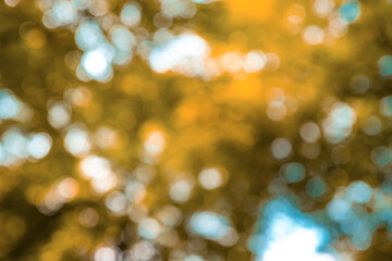 Obraz premium Blur natural yellow leaves bokeh background. Orange bokeh on nature abstract background. Orange leaf in garden at Autumn. Natural orange leaves as Autumn background. Environment ecology wallpaper.