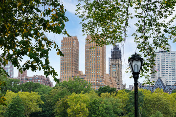 Inside Central Park looking to New York City