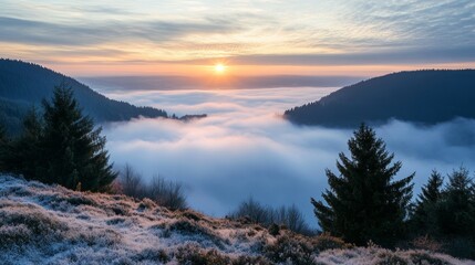 Majestic Sunrise Over Foggy Mountain Landscape with Pine Trees
