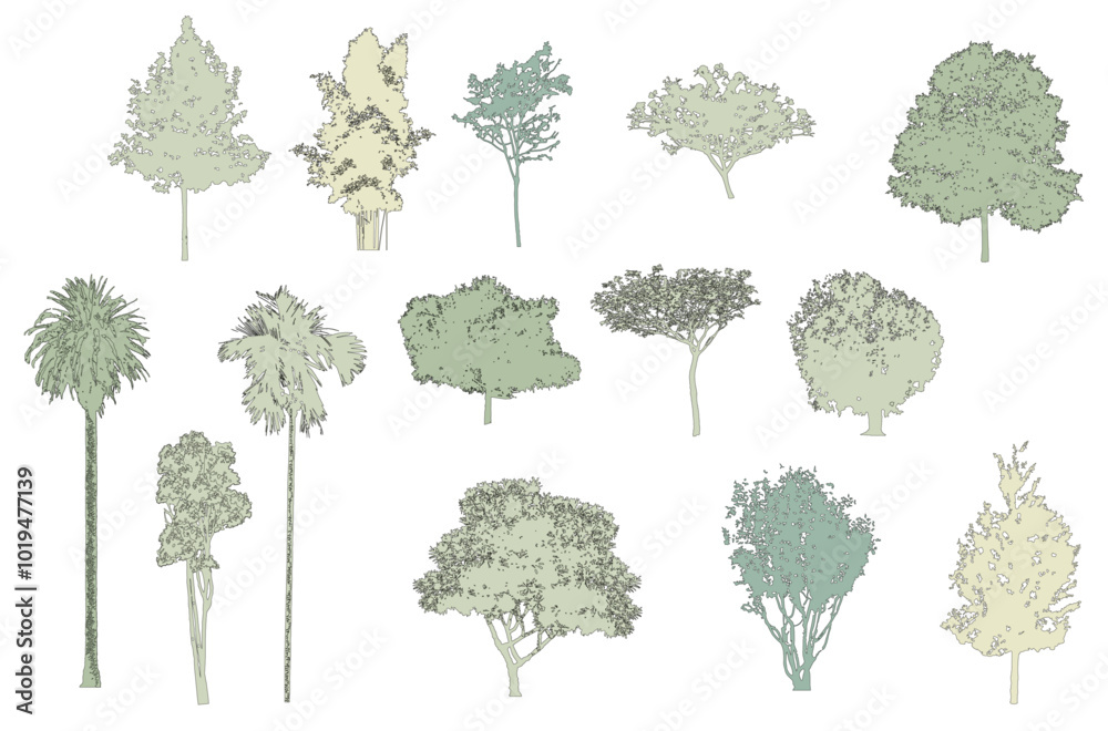 Poster Minimal style cad tree line drawing, Side view, set of graphics trees elements outline symbol for architecture and landscape design drawing. Vector illustration in stroke fill in white. Tropical, stre