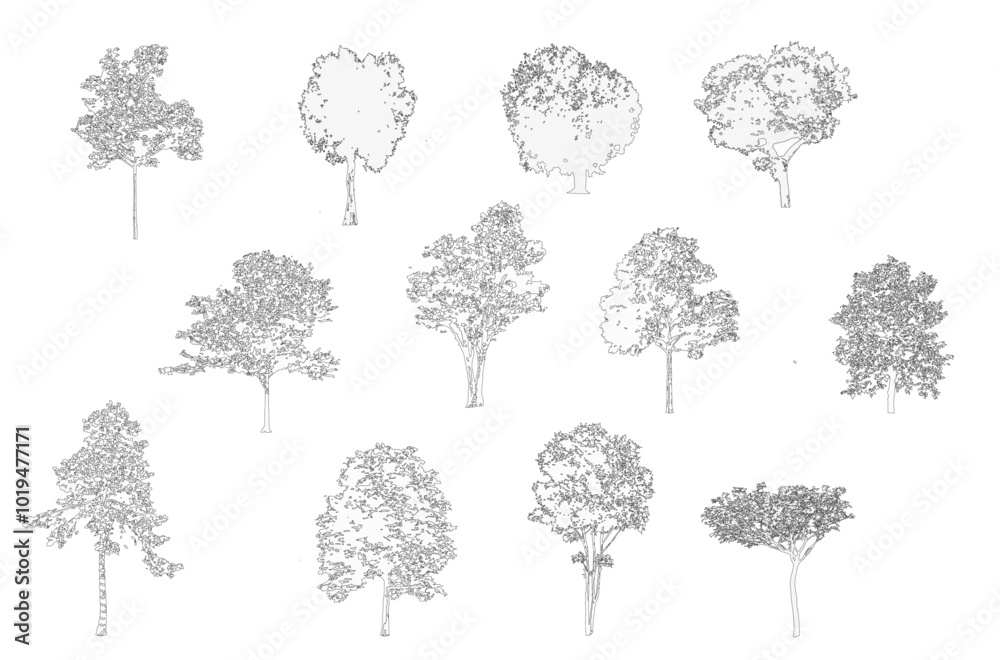 Poster Minimal style cad tree line drawing, Side view, set of graphics trees elements outline symbol for architecture and landscape design drawing. Vector illustration in stroke fill in white. Tropical, stre