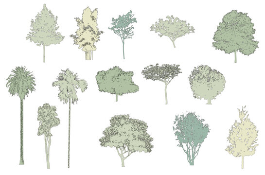 Minimal style cad tree line drawing, Side view, set of graphics trees elements outline symbol for architecture and landscape design drawing. Vector illustration in stroke fill in white. Tropical, stre