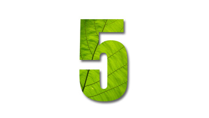 Number 5 with green leaf texture, white background