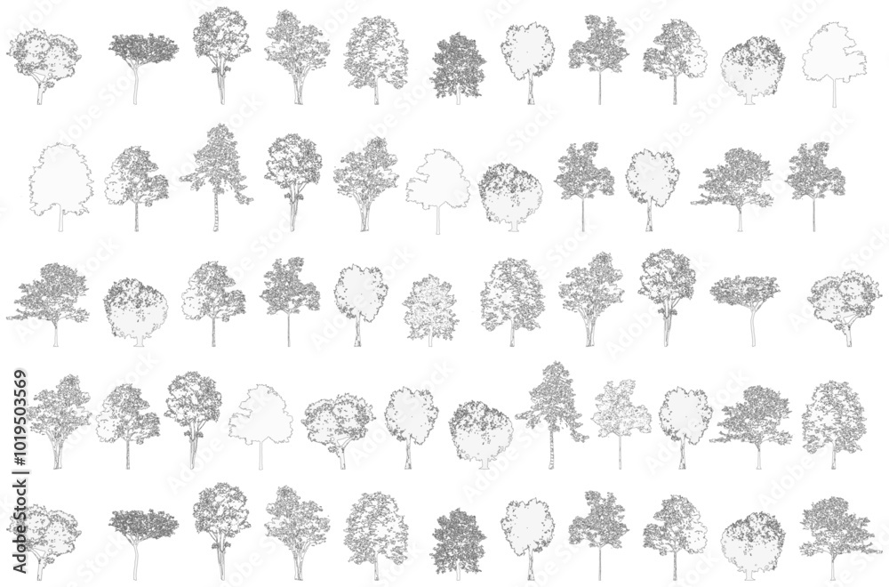 Poster pattern Minimal style cad tree line drawing, background, set of graphics trees elements outline symbol for architecture and landscape design drawing. Vector illustration in stroke fill in white. 