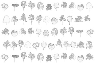 pattern Minimal style cad tree line drawing, background, set of graphics trees elements outline symbol for architecture and landscape design drawing. Vector illustration in stroke fill in white. 