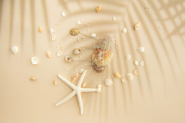 Beautiful hairpin hairgrip made of small clams surrounded by small seashells and starfish