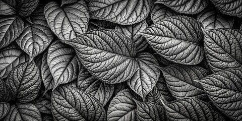 A Monochromatic Tapestry of Intertwined Foliage, Revealing the Delicate Veins and Textures of Nature's Design