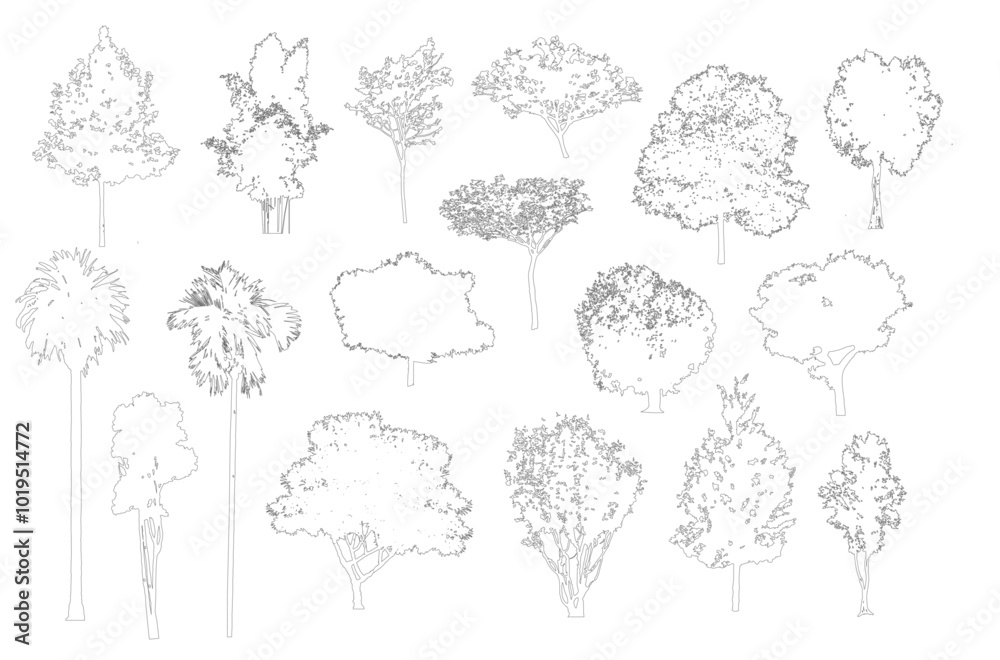 Fototapete Minimal style cad tree line drawing, Side view, set of graphics trees elements outline symbol for architecture and landscape design drawing. Vector illustration in stroke fill in white. Tropical, stre
