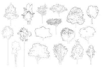 Obraz premium Minimal style cad tree line drawing, Side view, set of graphics trees elements outline symbol for architecture and landscape design drawing. Vector illustration in stroke fill in white. Tropical, stre