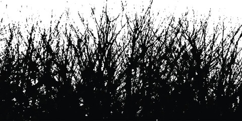 Monochrome abstract silhouette of dense tree branches
