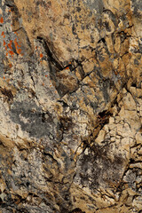 Close-up of a cliff wall on the beach in Queensland, Australia